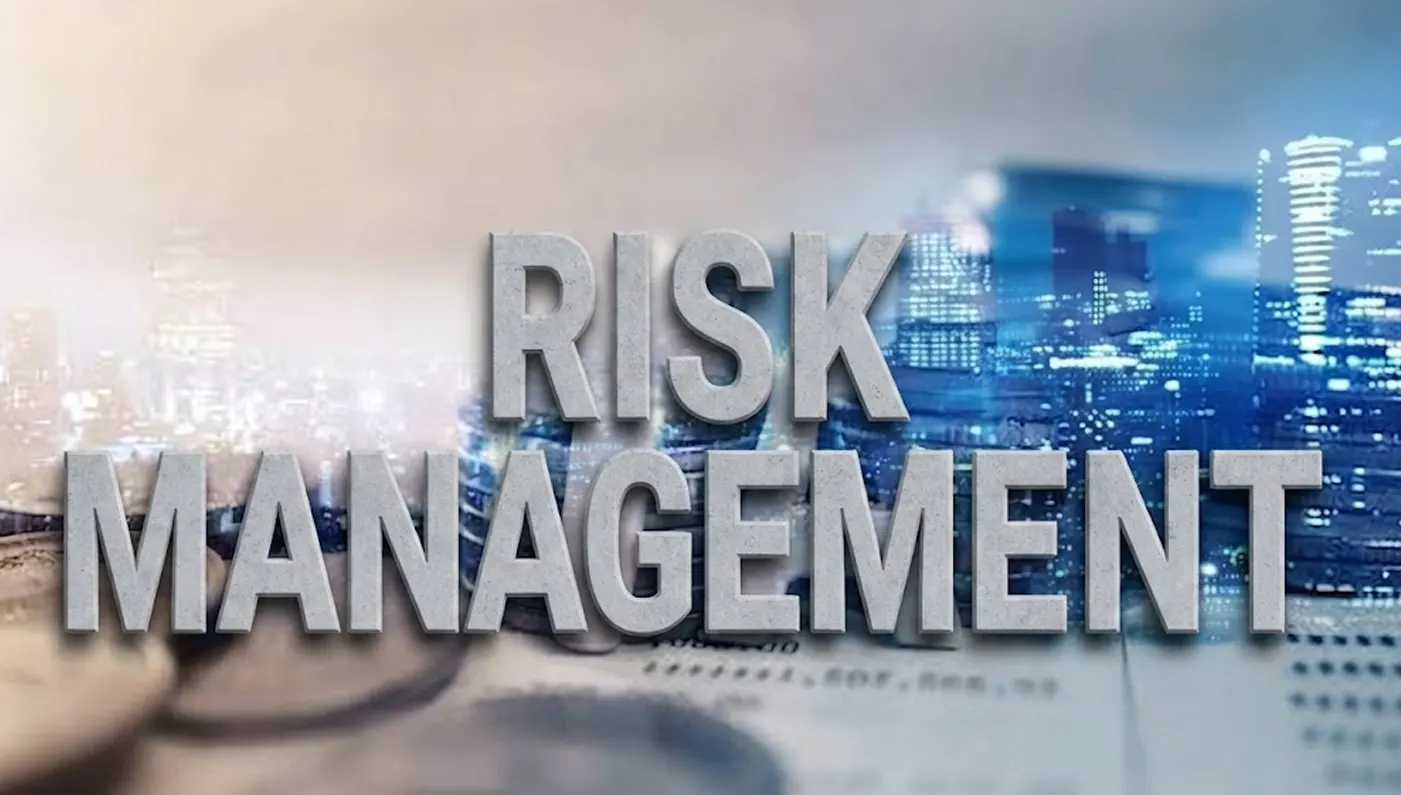 Tax Risk Management
